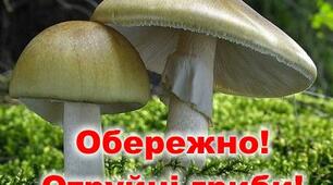 ОБЖ "Їстівні та отруйні гриби"