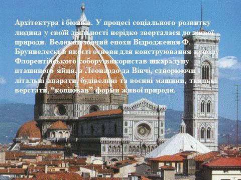 0200b1xv-44d8-480x360.png