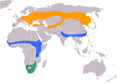 0200b295-de73-377x270.png