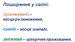 0200b299-8321-286x163.png