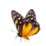 0200b3cu-0f88.png
