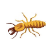 0200b3cw-9046-55x47.png