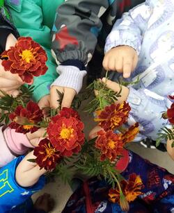 0200b4jh-991d-250x307.jpg