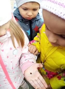 0200b4jm-45a2-250x341.jpg