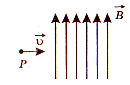0200b6ue-d529-142x92.png