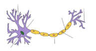 0200b705-f67a-193x104.png