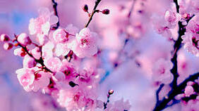 0200b8ll-8500-300x168.jpg
