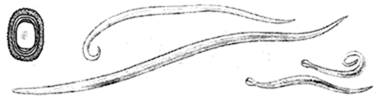 0200bcmr-e273.png