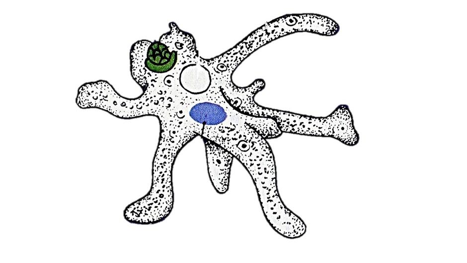 0200bi93-c1c3-940x529.jpg