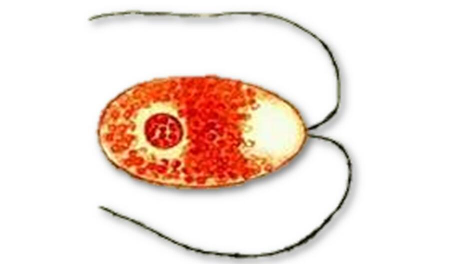 0200bi97-dedb-940x529.jpg