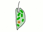 0200bim6-b2ec.gif