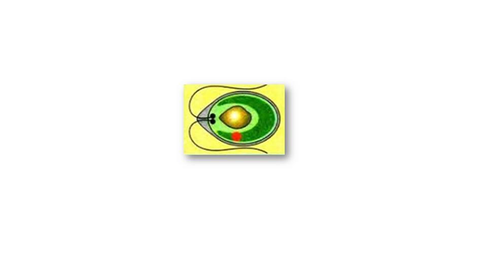 0200biml-147c-940x529.jpg