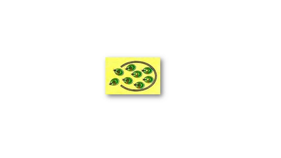 0200bimx-9f65-940x529.jpg