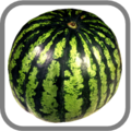 0200bjfm-9276-100x100.png
