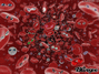 0200bjz2-18f2-125x94.gif