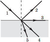 0200bkki-5837.png