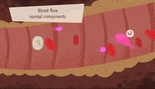 0200bku8-5e37-155x89.gif