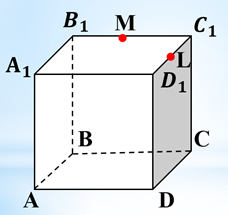 0200bl0t-367d-228x215.png