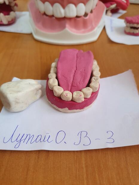 0200blbl-c269-940x705.jpg
