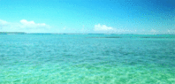 0200bm9x-04d7-198x95.gif