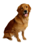0200bny4-dd6a-74x94.png