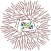 0200bnys-e078-103x102.png