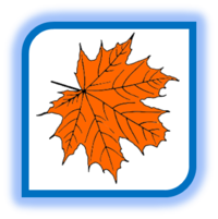 0200boog-5251-250x251.png