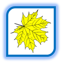 0200booq-506d-250x251.png
