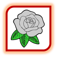 0200bopb-c71d-250x251.png