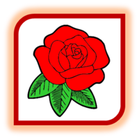0200bopg-2385-250x251.png
