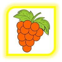0200borq-4c31-200x201.png