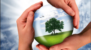 Natural resources