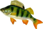 0200bqx9-f1f3-145x96.png