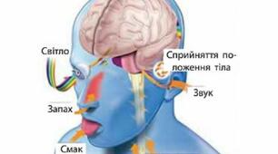 Сенсорні системи