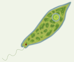 0200brn9-f01f-254x212.png