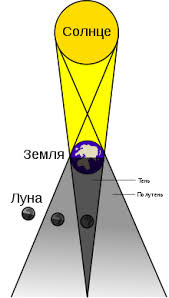 0200btnu-78ab.png