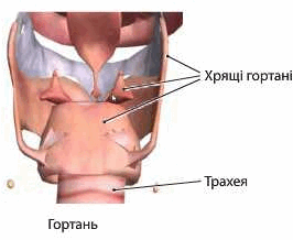 https://lh4.googleusercontent.com/8JvScwbe2UF_UvsBdvWQOldjThHO_Vd2jHsrcZFIaLwMuI8mGBSA5j7tjDmRToadzWHRJuVwwU3QErjd44yg0t1zFsJvL0M9yhtXIhVUhbvtWYZsL3M=w1280