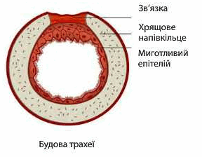 https://lh4.googleusercontent.com/Zy1a2-QojtQ4n8mpJKO5eexjWwQF5V9Hohxj7haqojsF5rj6UfMh1S2Xo6SelUFfNFOc2Lg4GwNOib0c36_Y-itnPDR3HY-C-2GHMM6sgmHyGydASg=w1280