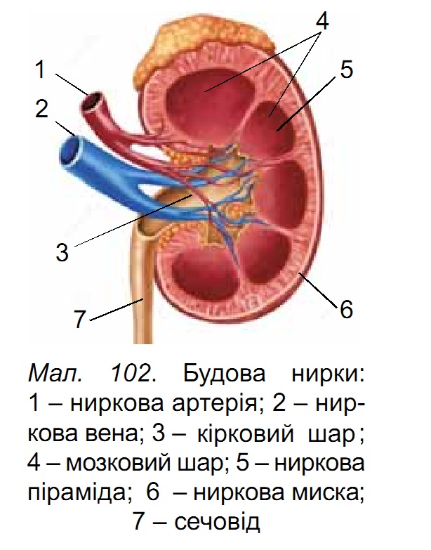 0200bumc-95f2.jpg