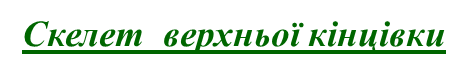 0200bx47-d677.png