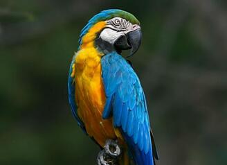 0200by27-b4d5.jpg