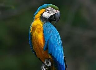 0200by3l-4248-309x225.jpg