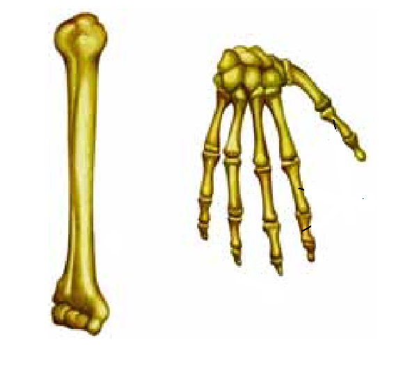 0200c12y-81ba.png