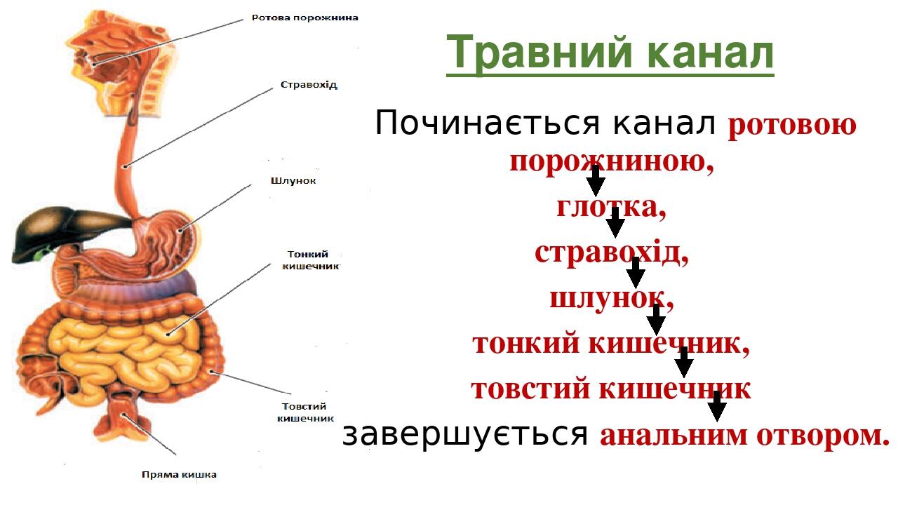 Канал серая схема