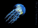 0200c60a-6c54.png