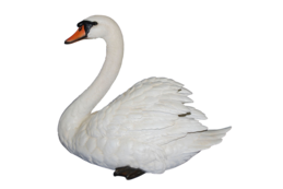 0200c73b-cdd6-259x173.png