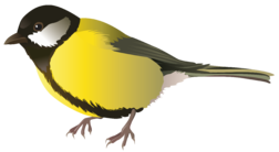 0200c74x-d303-252x138.png