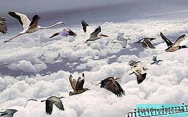 0200c7jj-3ec7-370x231.jpg