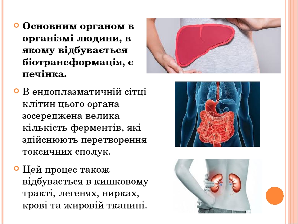 Проект йододефіцит в організмі людини