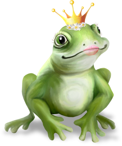 0200cad5-4337.png